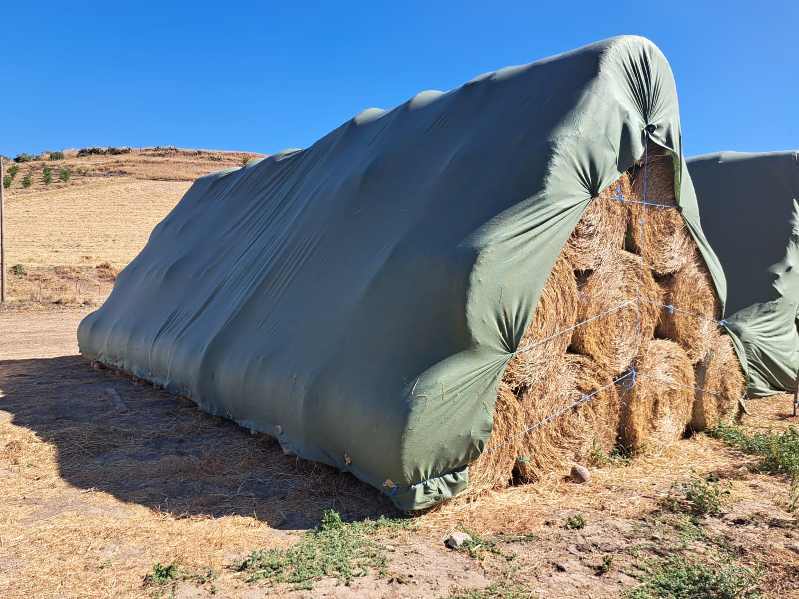 Telo copri balloni 160 - 9,80x12,50m