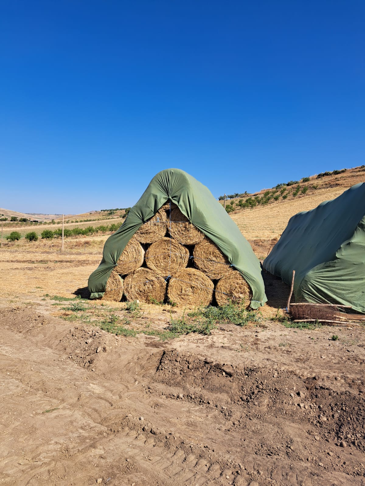 Telo copri balloni 160 - 9,80x12,50m - immagine 2