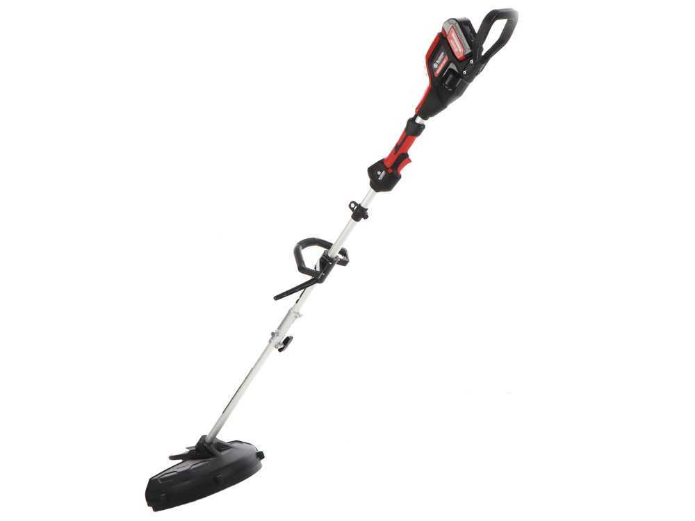 BLUE BIRD DECESPUGLIATORE COMBI 22-800 21V - immagine 8
