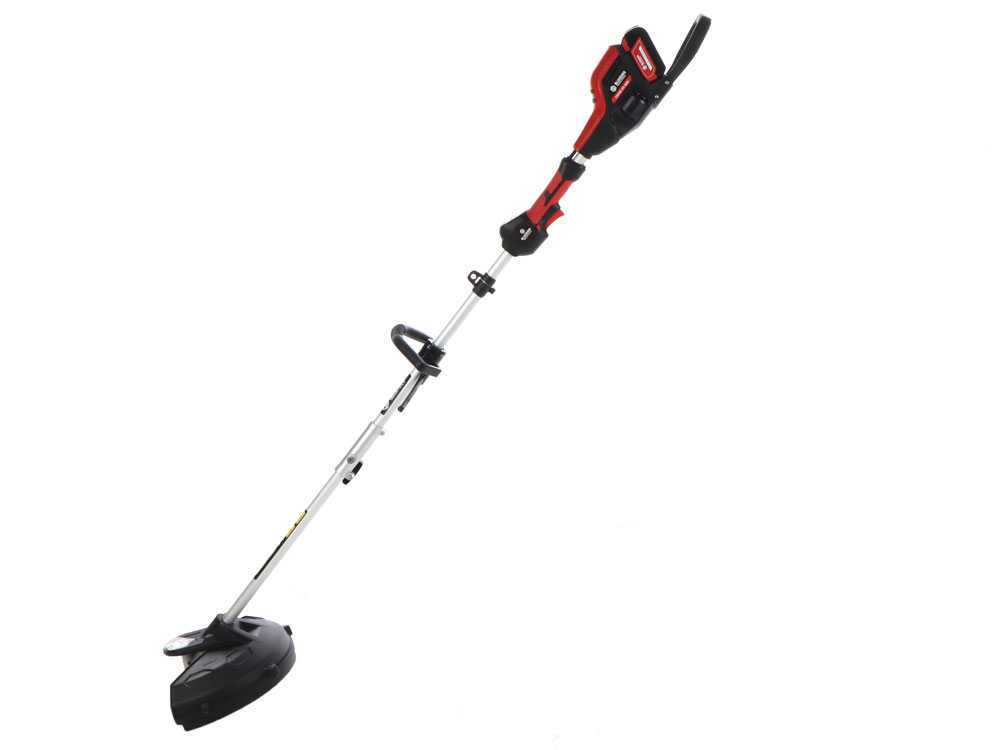 BLUE BIRD DECESPUGLIATORE COMBI 22-800 21V - immagine 10