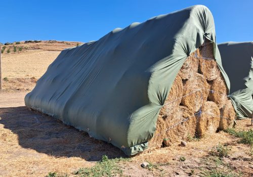 WhatsAppImage2024-05-28at19.19.15